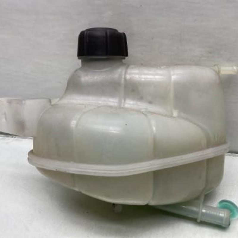 Vase d'expansion NISSAN QASHQAI 2 Photo n°2
