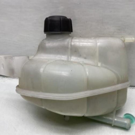 Vase d'expansion NISSAN QASHQAI 2