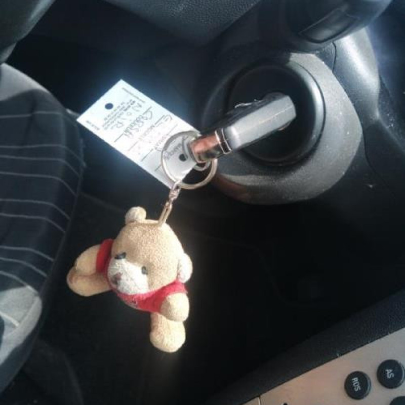 Porte arriere droit OPEL CORSA D Photo n°18