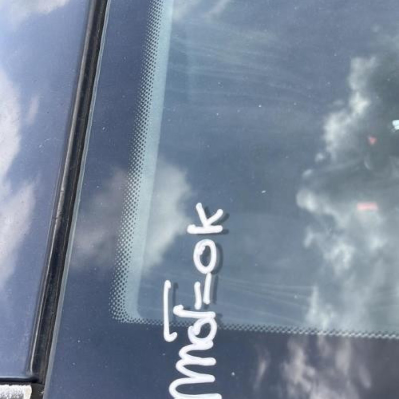Porte arriere droit OPEL CORSA D Photo n°20