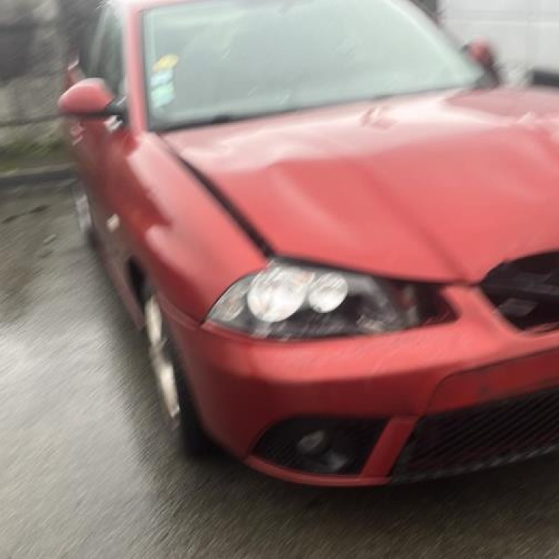 Porte arriere gauche SEAT IBIZA 3 Photo n°8