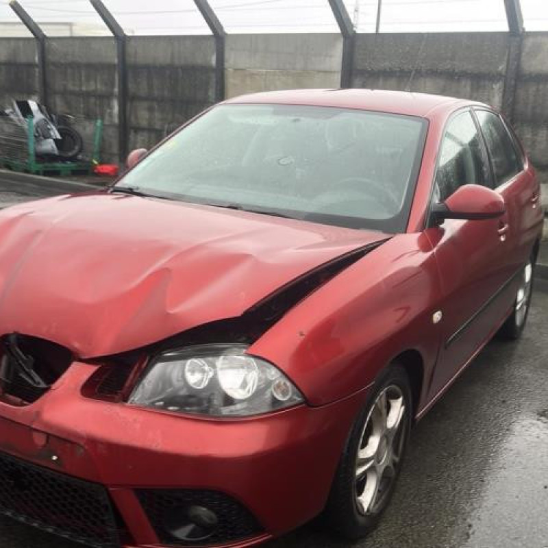Porte arriere gauche SEAT IBIZA 3 Photo n°9