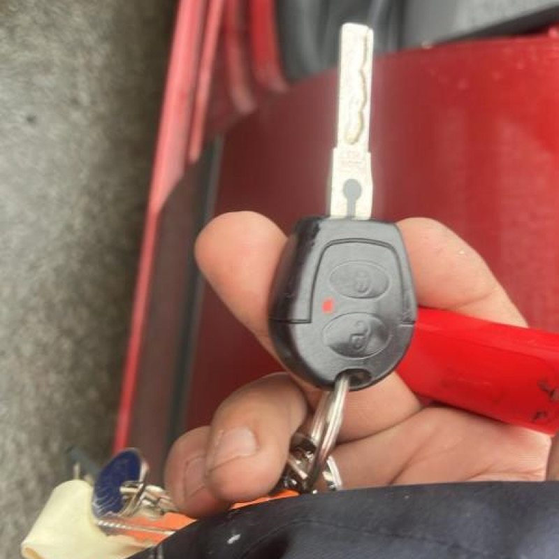 Porte arriere gauche SEAT IBIZA 3 Photo n°13