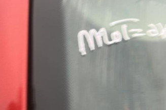 Porte arriere gauche SEAT IBIZA 3
