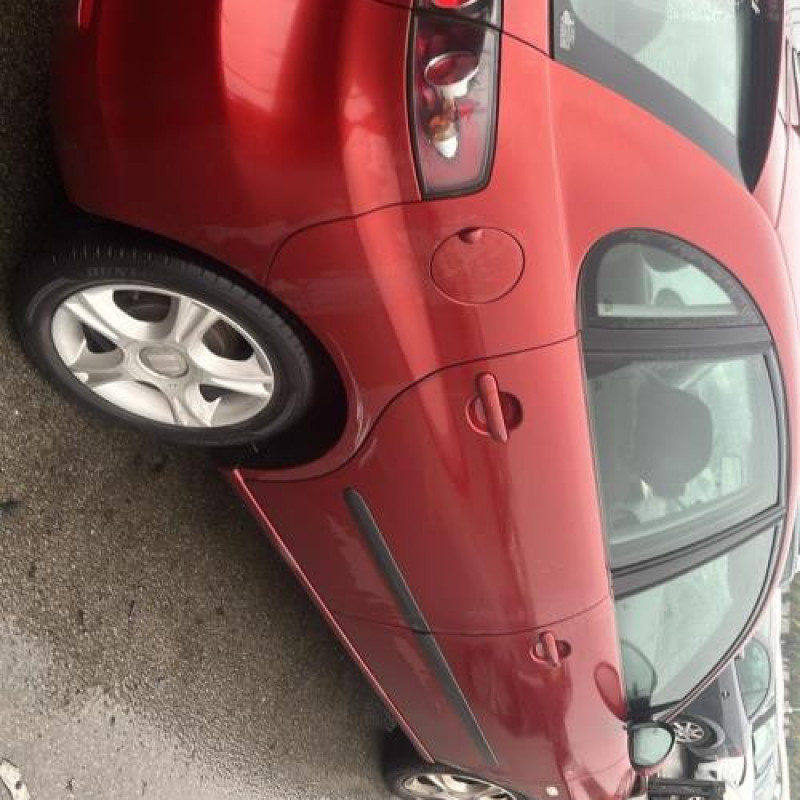 Porte avant gauche SEAT IBIZA 3 Photo n°13