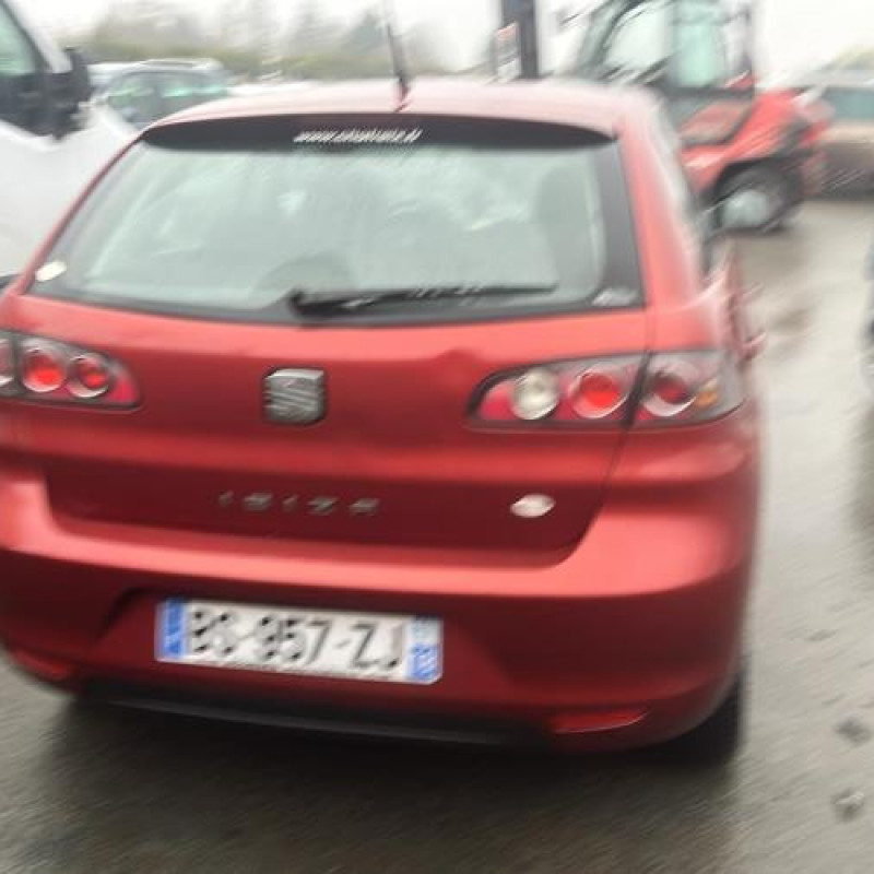 Porte avant gauche SEAT IBIZA 3 Photo n°14