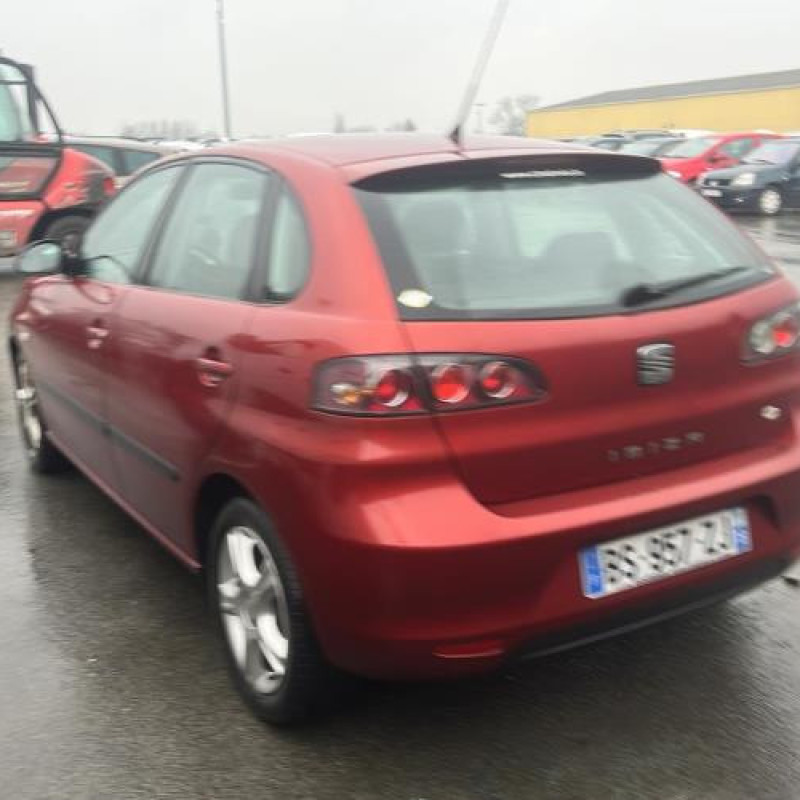 Porte avant gauche SEAT IBIZA 3 Photo n°15