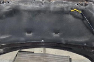 Capot PEUGEOT 308 1