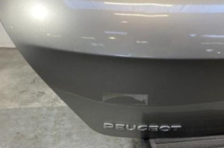 Malle/Hayon arriere PEUGEOT 308 1