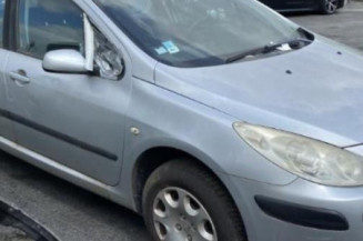 Jante PEUGEOT 307