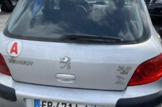 Jante PEUGEOT 307