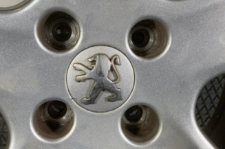 Jante PEUGEOT 307