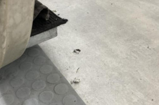 Porte avant droit RENAULT MEGANE 2