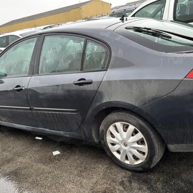 Arret de porte avant gauche RENAULT LAGUNA 3 Photo n°7
