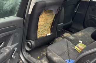Arret de porte avant gauche RENAULT LAGUNA 3