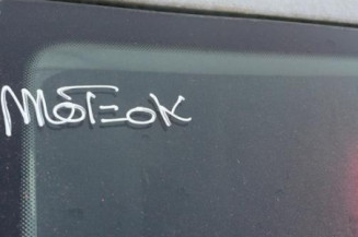 Porte arriere droit VOLKSWAGEN GOLF 5