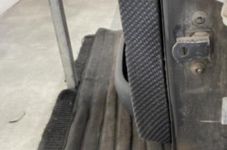 Porte arriere gauche SKODA FABIA 1