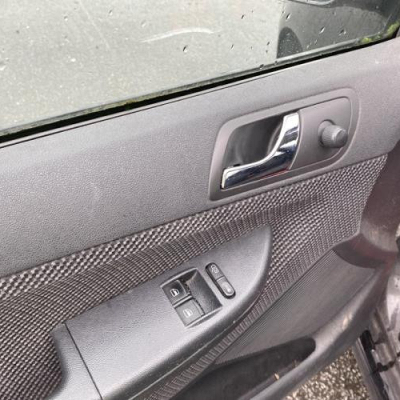 Porte avant droit SKODA FABIA 1 Photo n°16