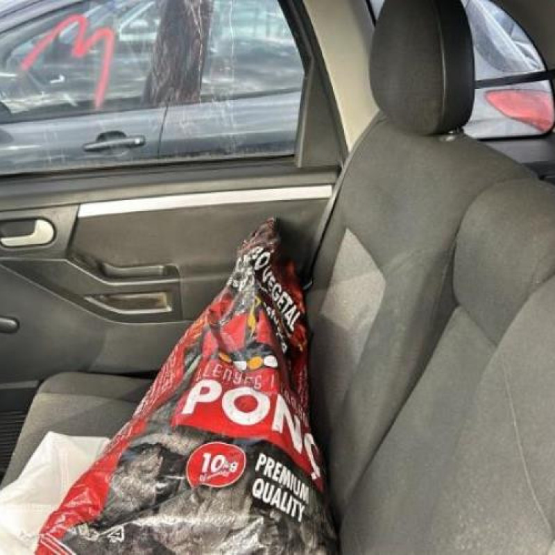 Porte arriere droit OPEL MERIVA A Photo n°11