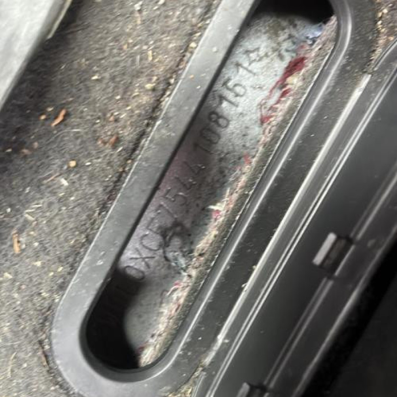 Porte arriere droit OPEL MERIVA A Photo n°13