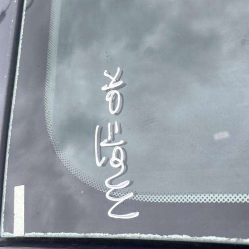 Ceinture arriere gauche RENAULT MEGANE 3 Photo n°13