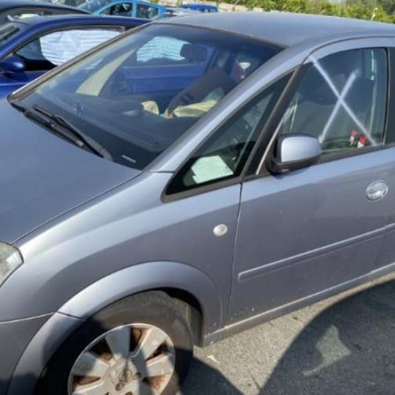 Porte arriere droit OPEL MERIVA A Photo n°8