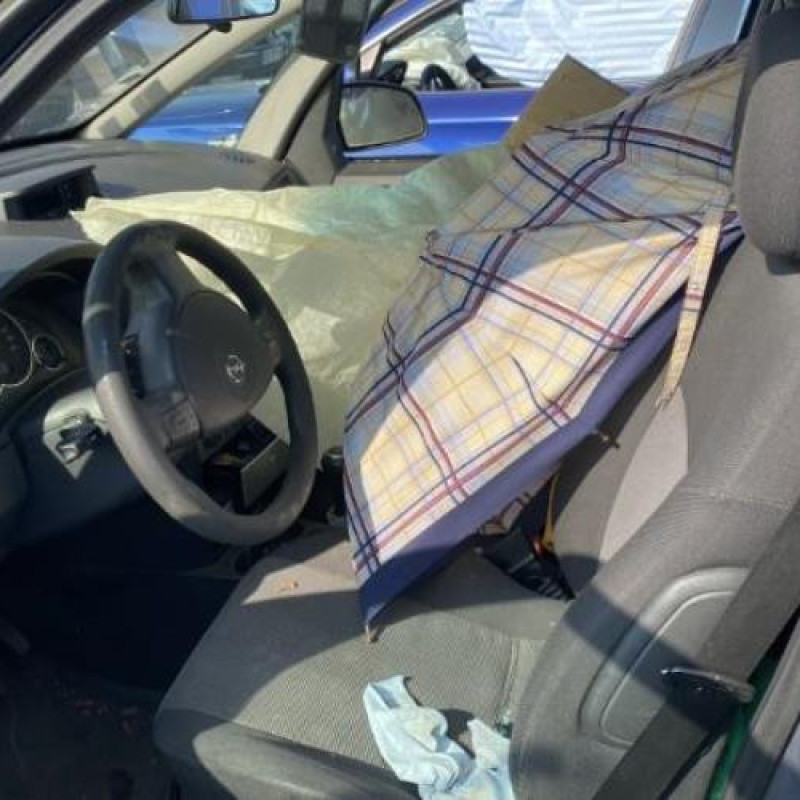 Porte arriere droit OPEL MERIVA A Photo n°11