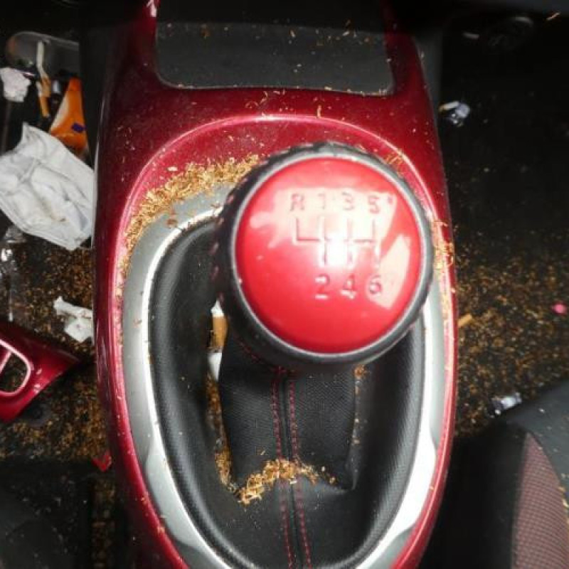Ceinture arriere gauche NISSAN JUKE 1 Photo n°8