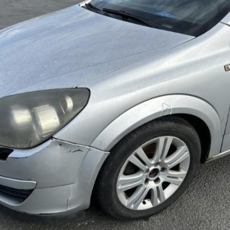 Custode arriere gauche (porte) OPEL ASTRA H Photo n°8