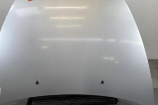 Capot VOLVO C 30 Photo n°1