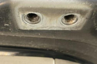 Malle/Hayon arriere FORD C-MAX 1