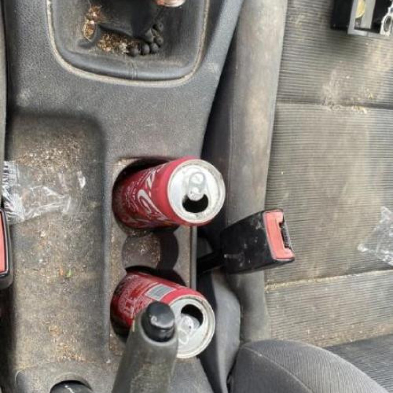 Porte arriere droit VOLKSWAGEN GOLF 5 Photo n°16