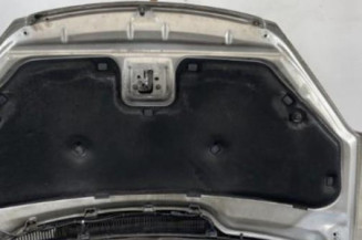 Capot FORD C-MAX 1