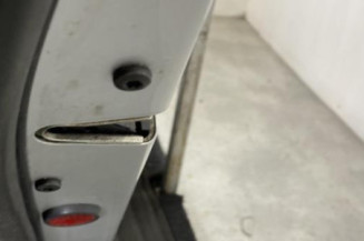 Porte arriere gauche BMW SERIE 5 E61