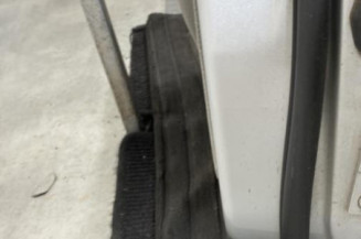 Porte arriere gauche BMW SERIE 5 E61