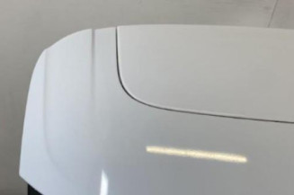 Malle/Hayon arriere FORD FOCUS 3