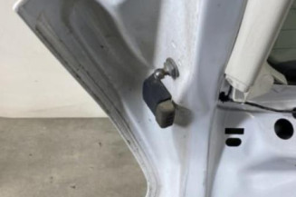 Malle/Hayon arriere FORD FOCUS 3