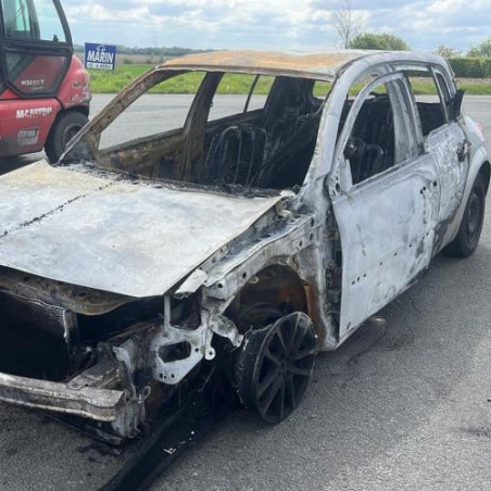 Etrier arriere droit (freinage) RENAULT MEGANE 2 Photo n°1