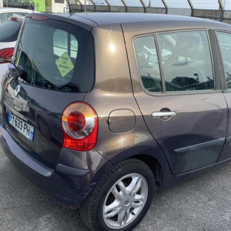 Vitre avant droit RENAULT MODUS Photo n°12