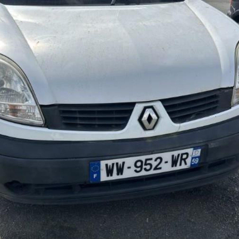 Porte de coffre droit RENAULT KANGOO 1 Photo n°12