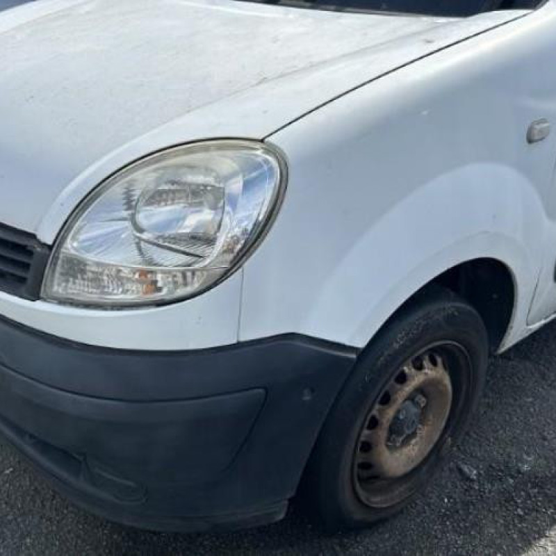 Porte de coffre droit RENAULT KANGOO 1 Photo n°13