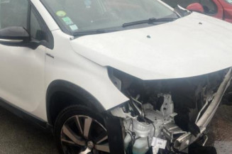 Extension d'aile arriere gauche PEUGEOT 2008 1