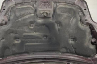 Capot FORD FOCUS 2