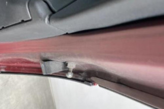 Malle/Hayon arriere CITROEN C4 PICASSO 1