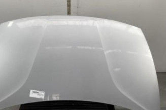 Capot KIA RIO 3 Photo n°1
