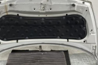 Capot KIA RIO 3