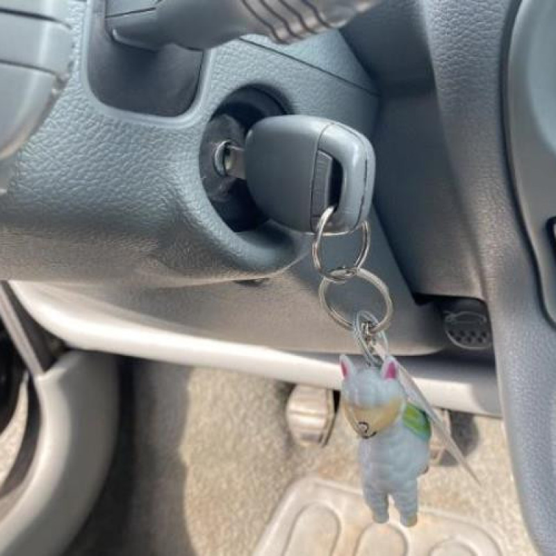 Mastervac RENAULT TWINGO 1 Photo n°15