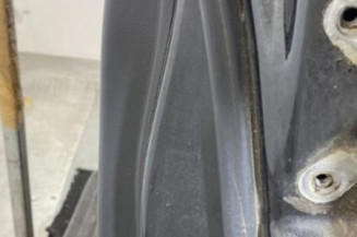 Porte arriere gauche CHEVROLET CAPTIVA