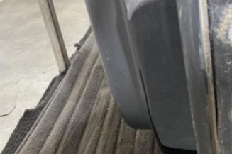 Porte arriere gauche CHEVROLET CAPTIVA