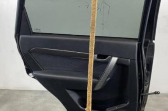 Porte arriere gauche CHEVROLET CAPTIVA